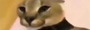 i_am_floppa's profile banner image