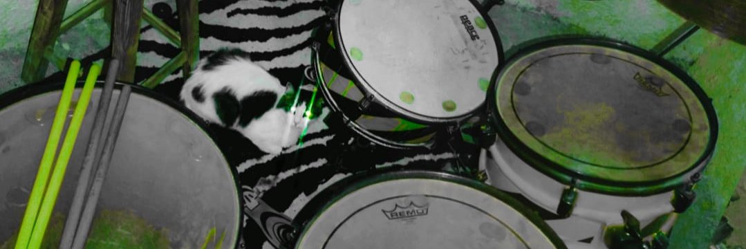 ¸¸♬·¯·♩¸¸♪·¯·♫¸¸ Ｓｅｖｅｎ Ｃｒｉｓ ¸¸♫·¯·♪¸¸♩·¯·♬¸¸ banner