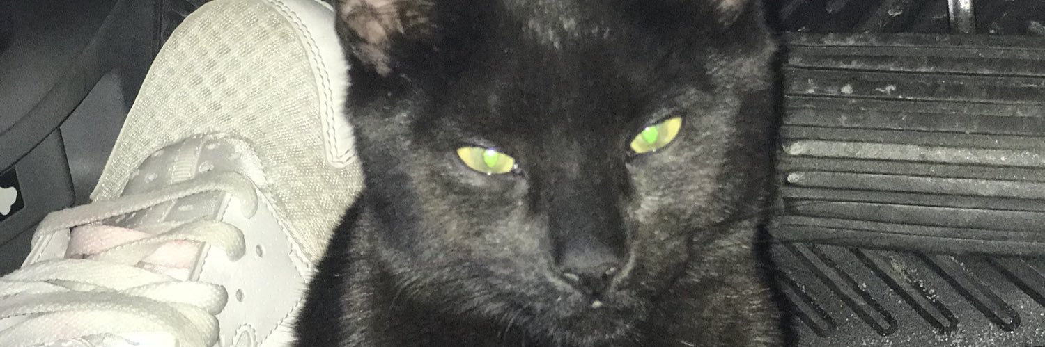 duckytaylor1's profile banner image