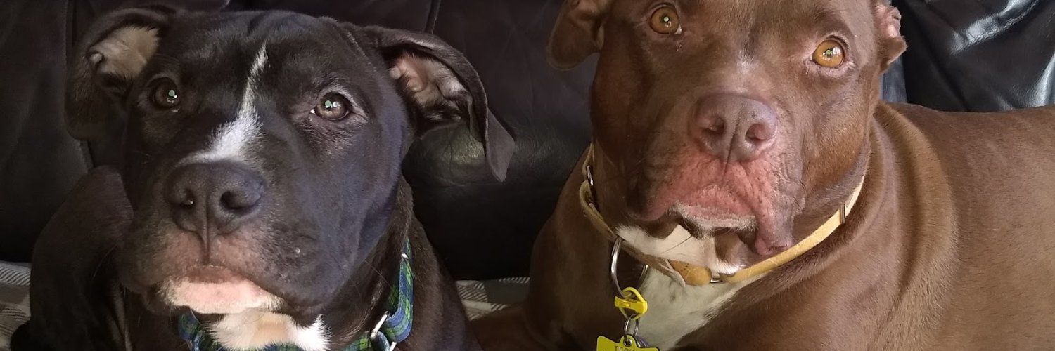 bill-joe-patr... banner