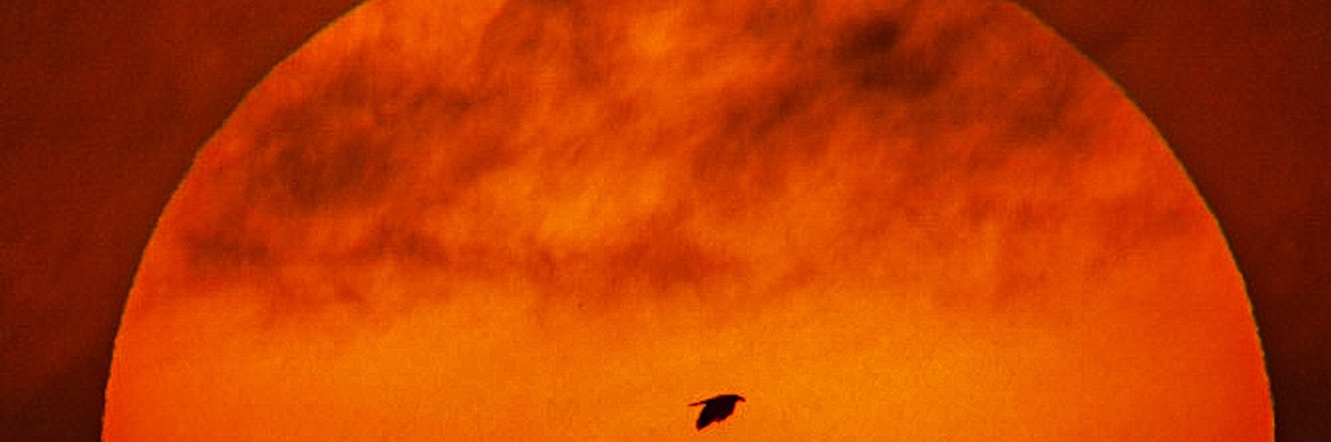 joyrobmac's profile banner image