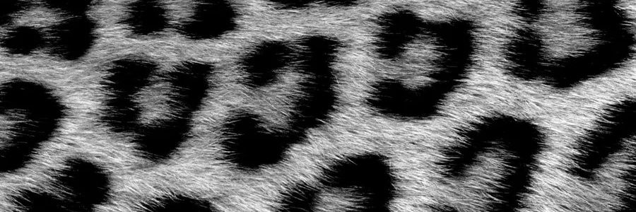 𝕓𝕣𝕚𝕖𝕤𝕚 🍀 banner