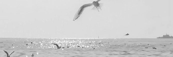 ً banner