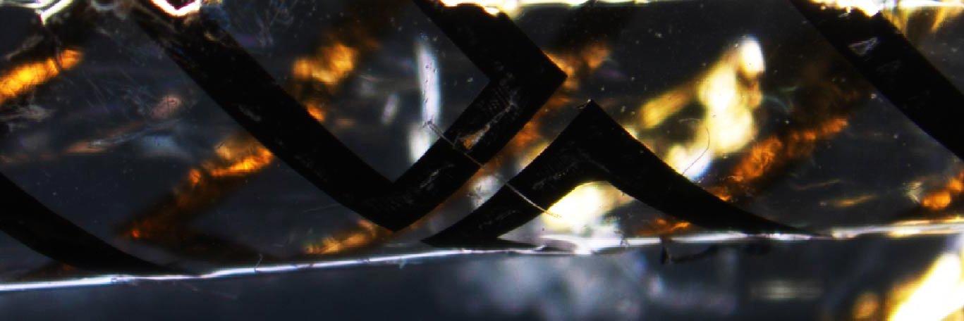 Reem Rashid banner