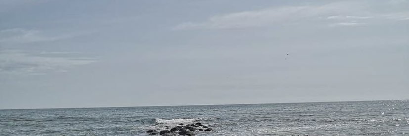 Taylerwork's profile banner image