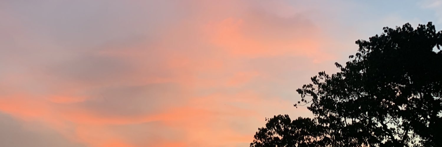 ca banner