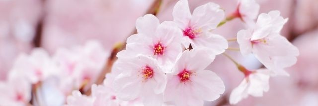 selfhelpのぞみとあゆみ管理人 banner