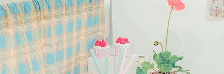 Model banner