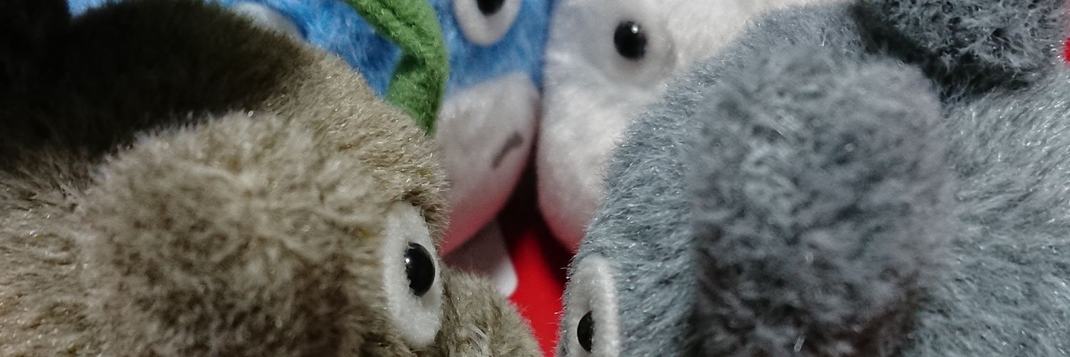 c54m_d's profile banner image