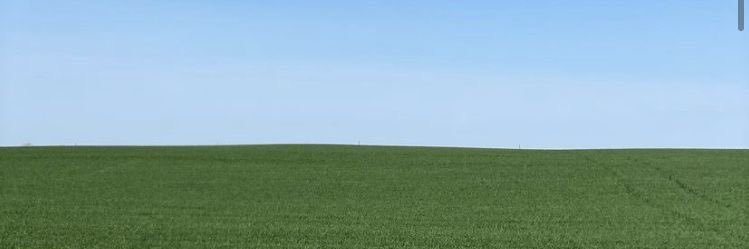 mer 🌰 banner