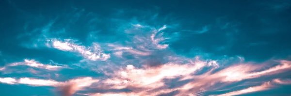 🤍Pregnant Jenn 💙's banner