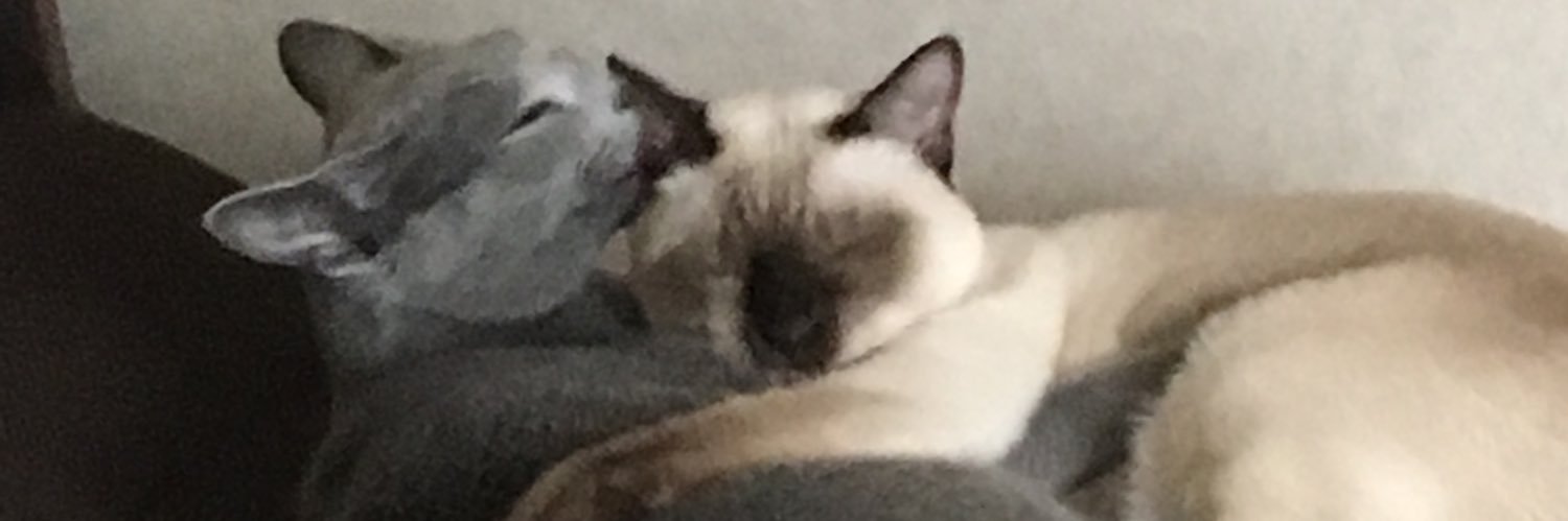 おかっぱり banner