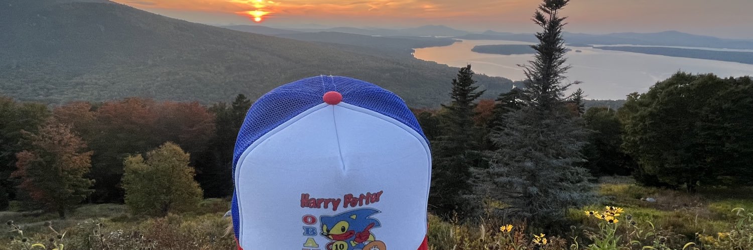 tickerisbitcoin.eth🦔⛓ banner