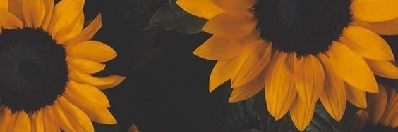 graxiepie's profile banner image