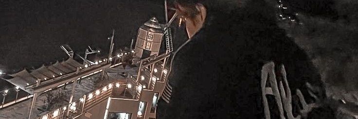 stellflowr's profile banner image