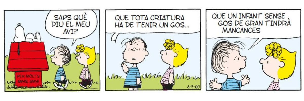 Meraki Editorial banner