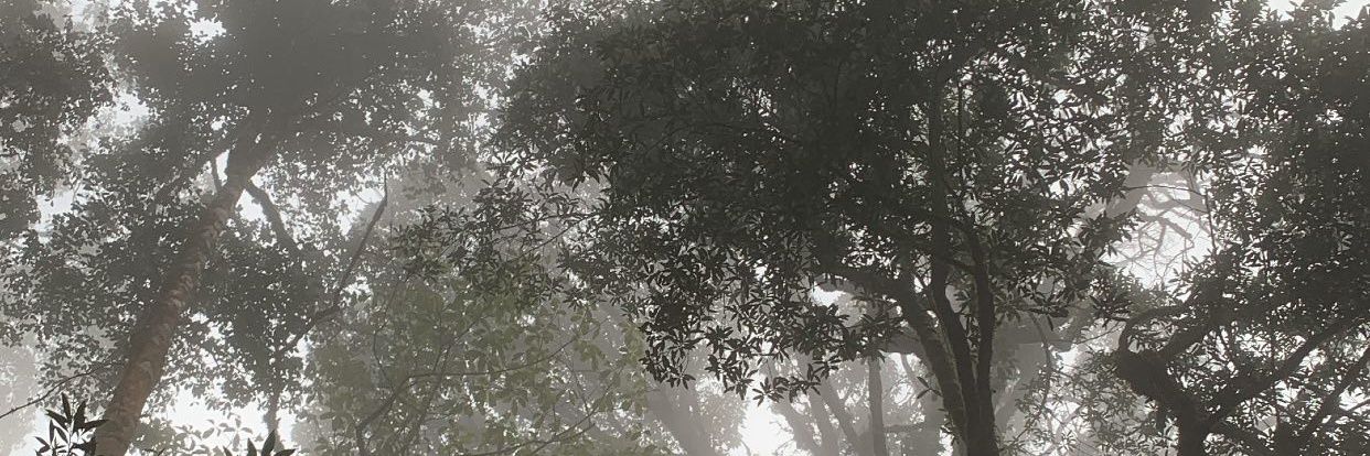 AlterCalibur's profile banner image