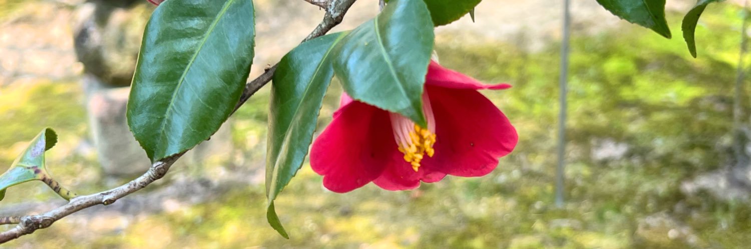 ゑﾚ@5/6東３ ま19a banner