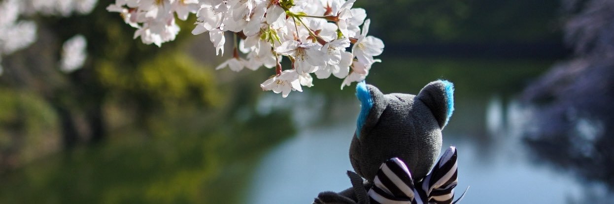 監督生を探すグリム's banner
