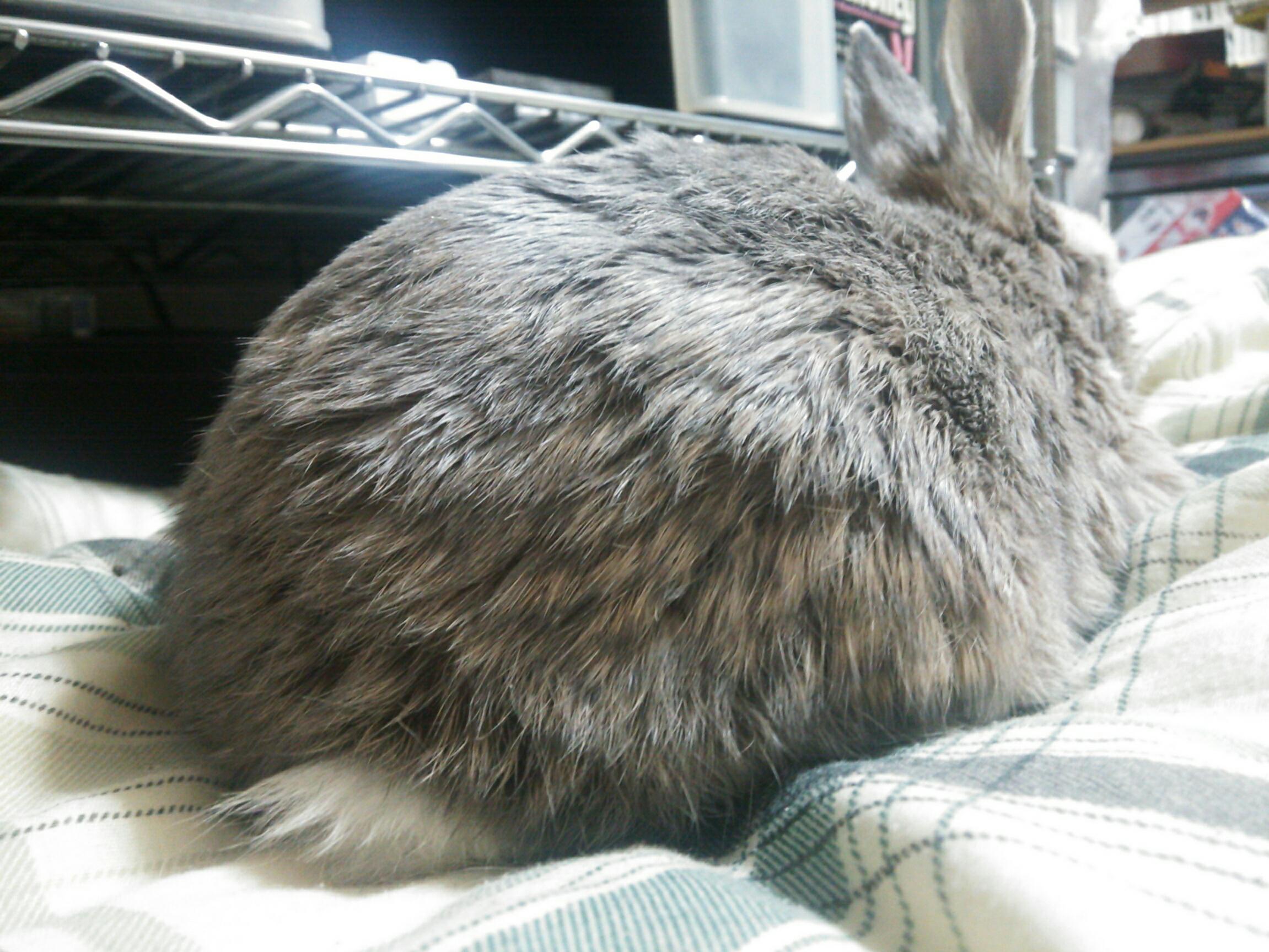 仙太郎(ヒロ) banner