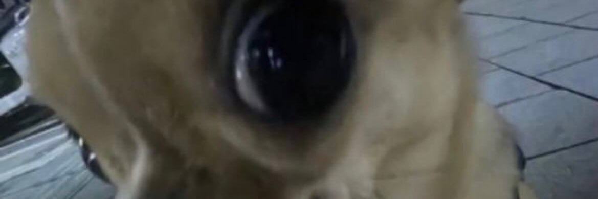 uumaaai's profile banner image
