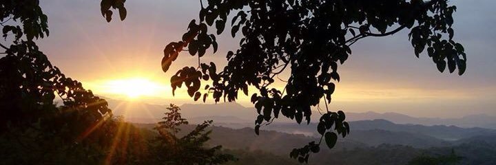 JLuisOfficial's profile banner image