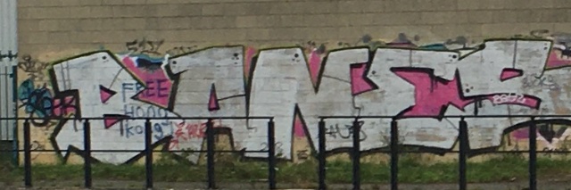 WeraDisaster banner