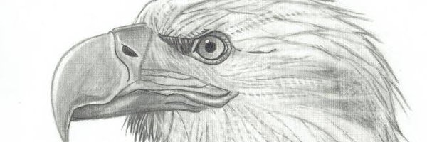 PreetBolda Profile Banner