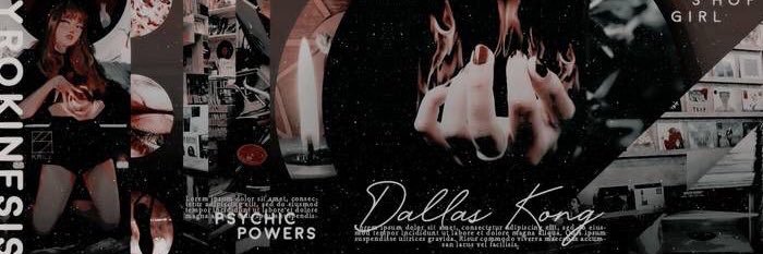 vey digzies banner