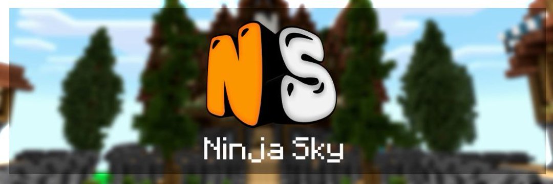 NinjaSky New Era😷❤ banner