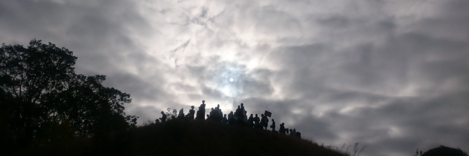 Dr Alison Green banner