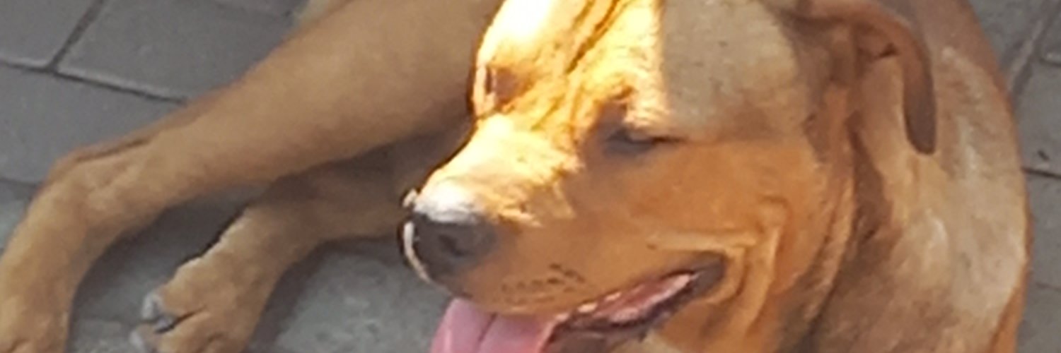 KgosipooSA's profile banner image