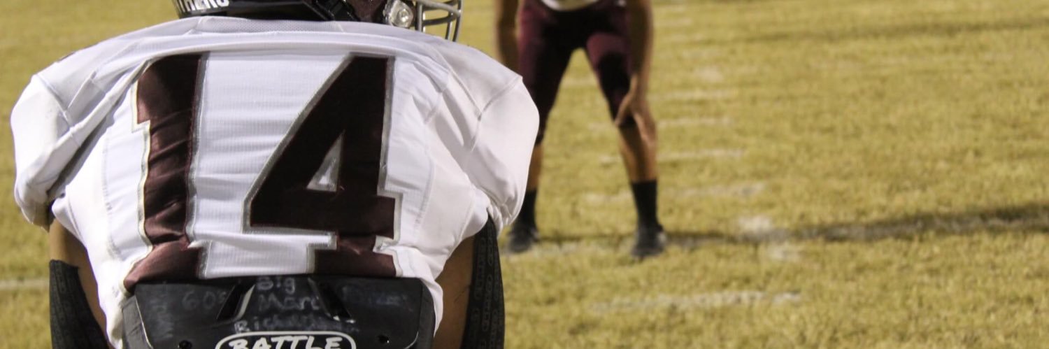 Zyee’k Mender banner