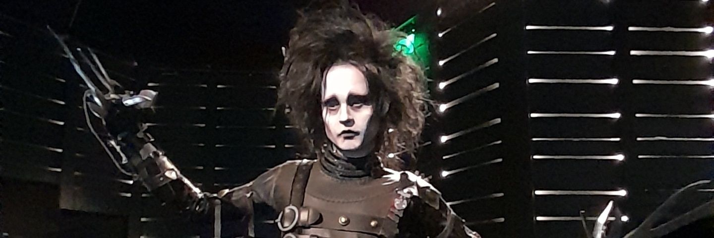 Capitaine Luc Mouse banner