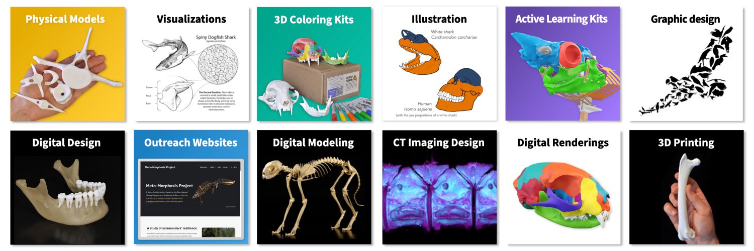 3D Anatomy Studios banner