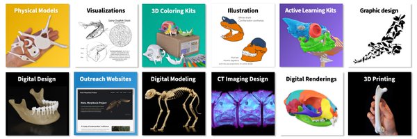 3DAnatomyStudio Profile Banner