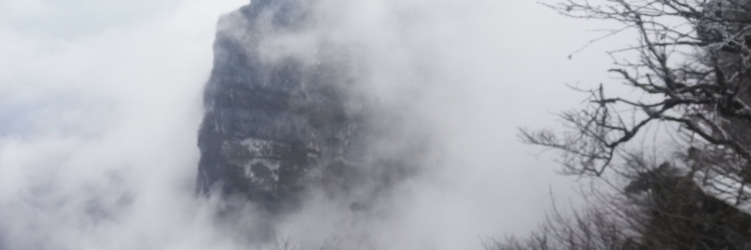 Steven00336520's profile banner image
