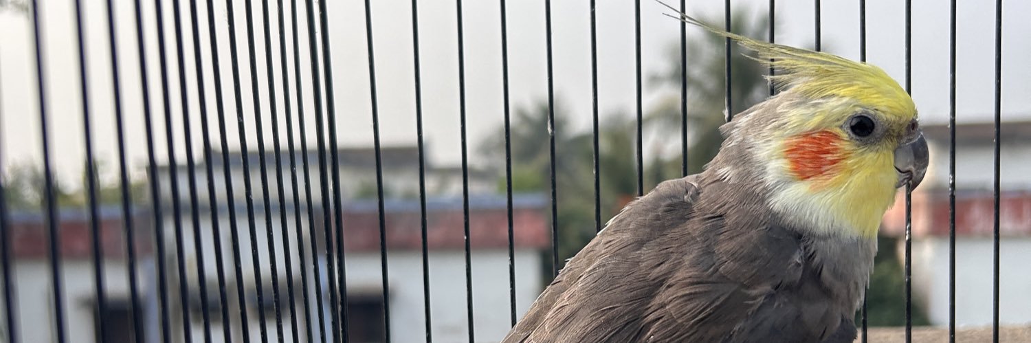 iambalavicky's profile banner image