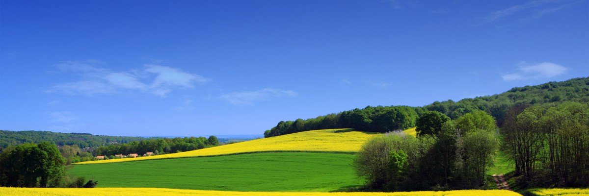 ecowas26's profile banner image