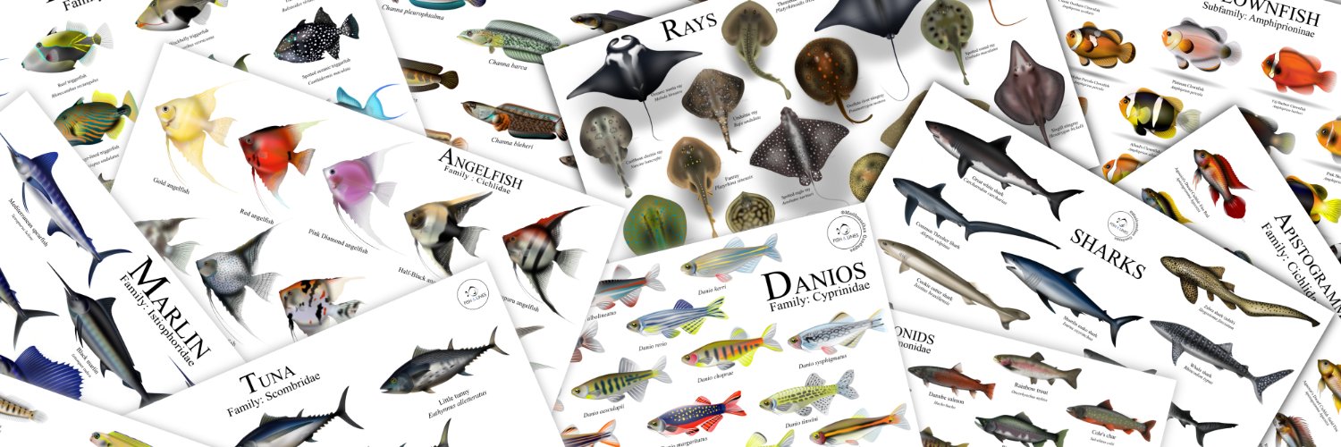 FISH and LINES banner