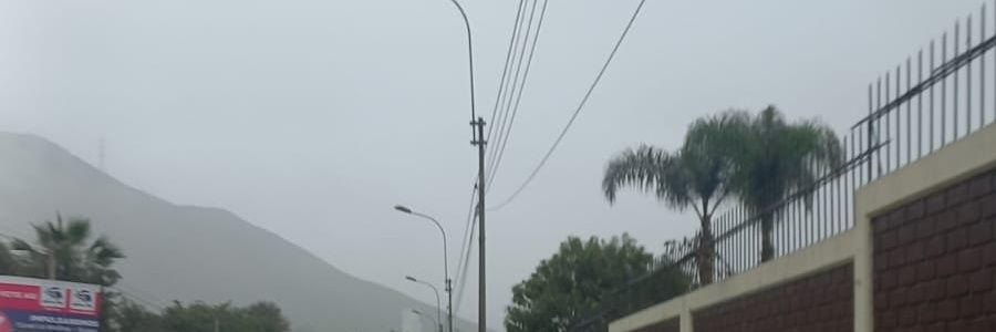 Trigo0705 banner