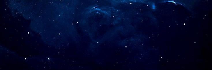 . ݁₊ ⊹ . ݁˖ . ݁𝒋𝒆𝒍𝒍𝒚𝒇𝒊𝒔𝒉. ݁₊ ⊹ . ݁˖ . ݁ banner