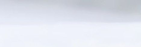 Lanius151's profile banner image