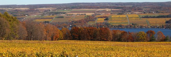 FLTimes Profile Banner