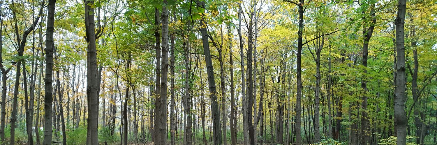 Travis Flowers banner