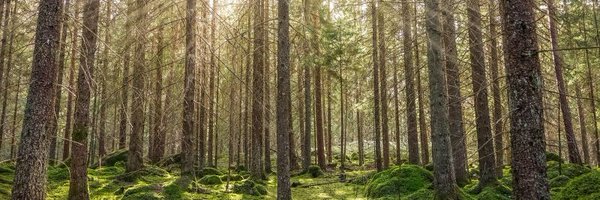 KristinKClemens Profile Banner