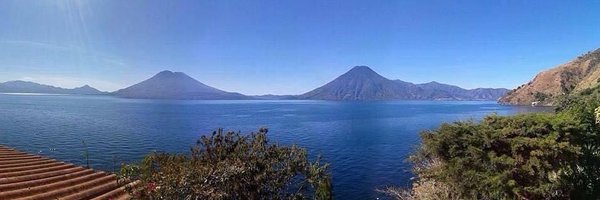 scoliomama Profile Banner