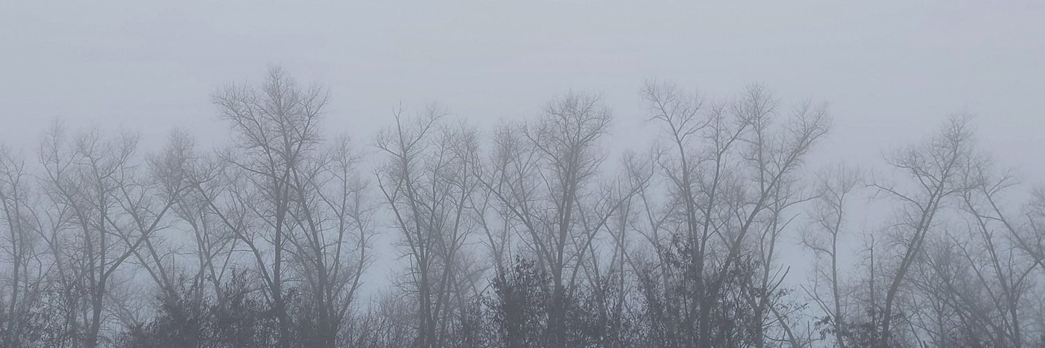 🗝's banner