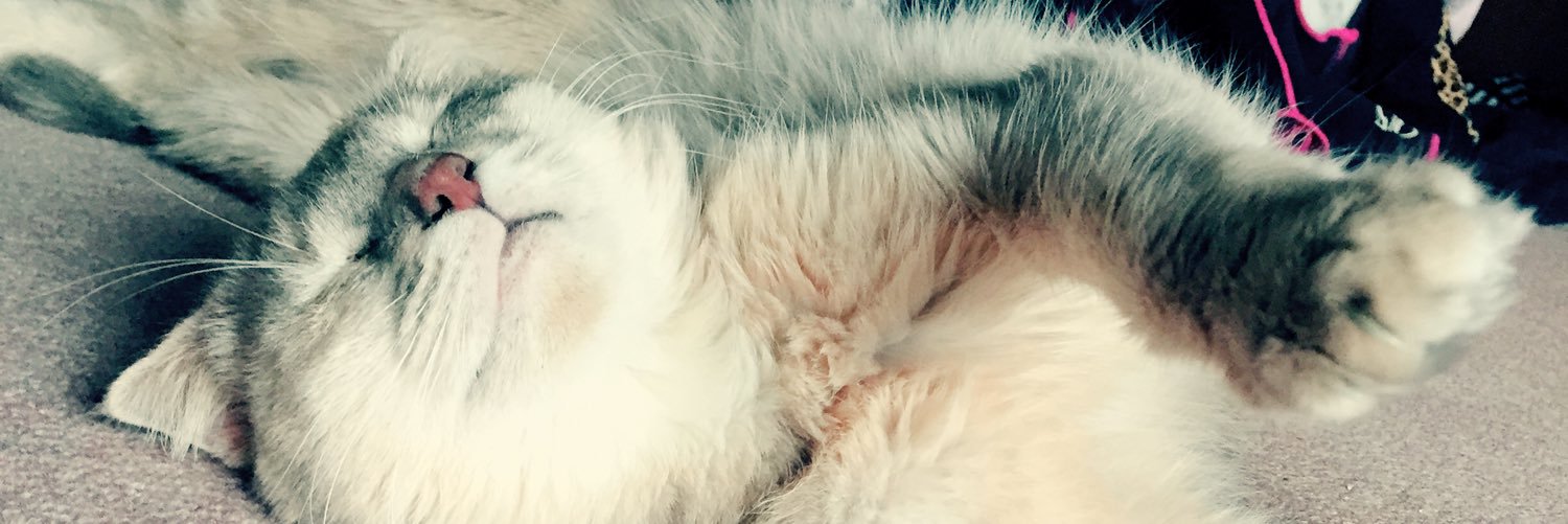 nyaaaaa1127's profile banner image