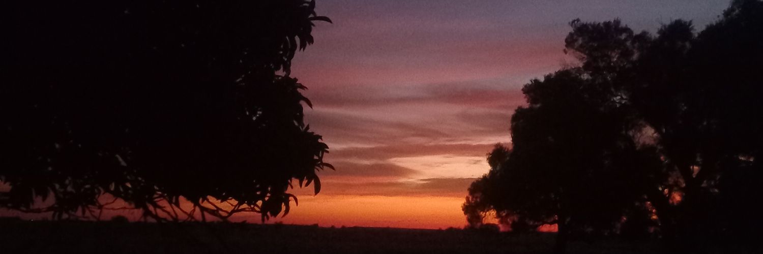 paucorvetto's profile banner image